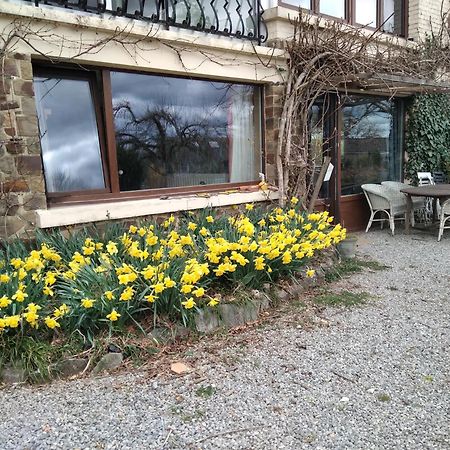 Villa Dinant La Bergeronnette Avec La Chaleur Du Feu De Bois Et Le Jardin Exterior foto