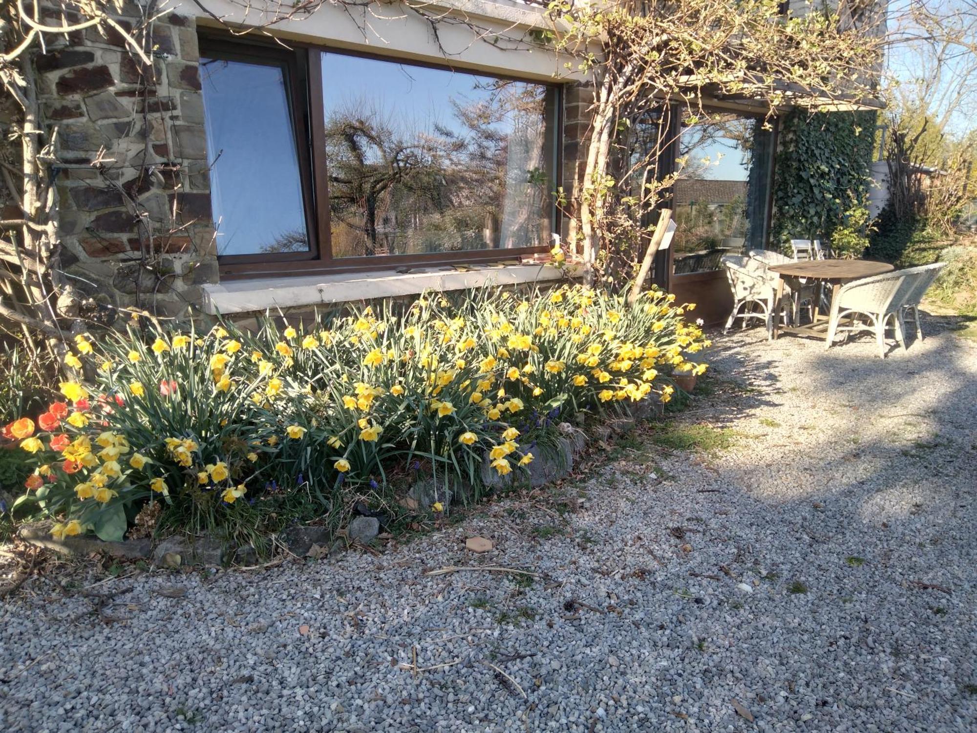 Villa Dinant La Bergeronnette Avec La Chaleur Du Feu De Bois Et Le Jardin Habitación foto